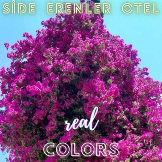 Side Erenler Hotel Экстерьер фото